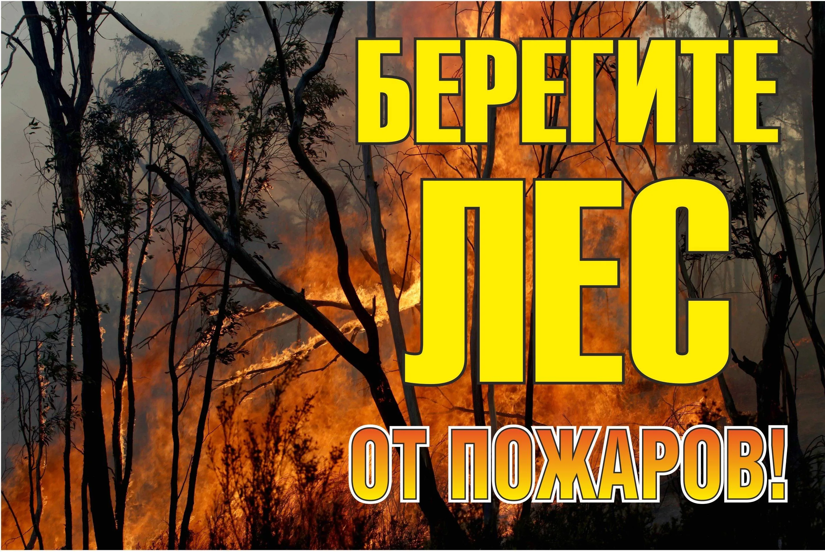 Знак Знак
