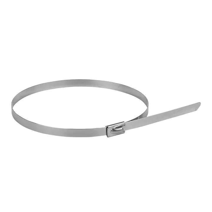 Хомут AISI 304 из нержавеющей стали, 4.6x290 (10 шт.) FlexLock PROxima Хомут AISI 304 из нержавеющей стали, 4.6x290 (10 шт.) FlexLock PROxima