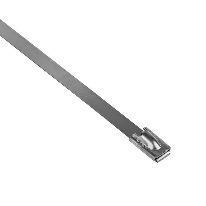 Хомут AISI 304 из нержавеющей стали, 4.6x360 (10 шт.) FlexLock PROxima Хомут AISI 304 из нержавеющей стали, 4.6x360 (10 шт.) FlexLock PROxima